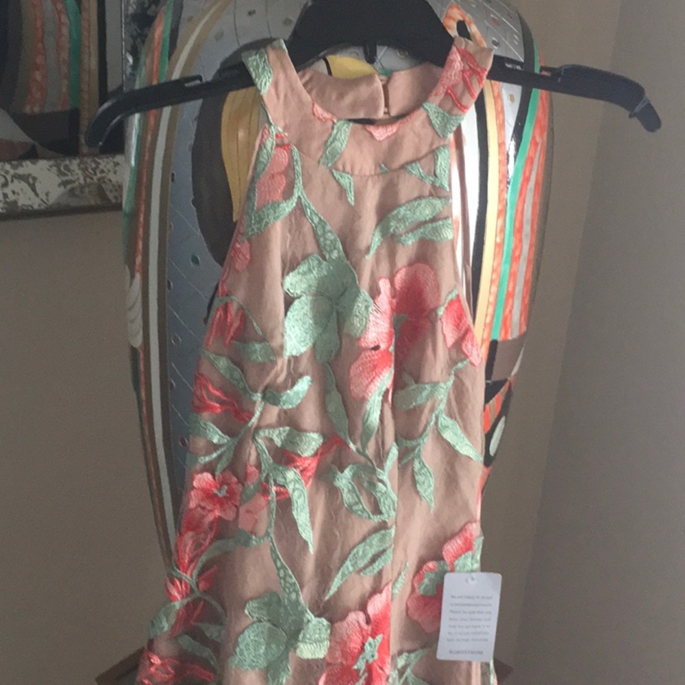 Backless Sun Dress